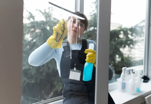 Nettoyage de vitres intérieures et extérieures à Saint-Sauveur-en-Puisaye